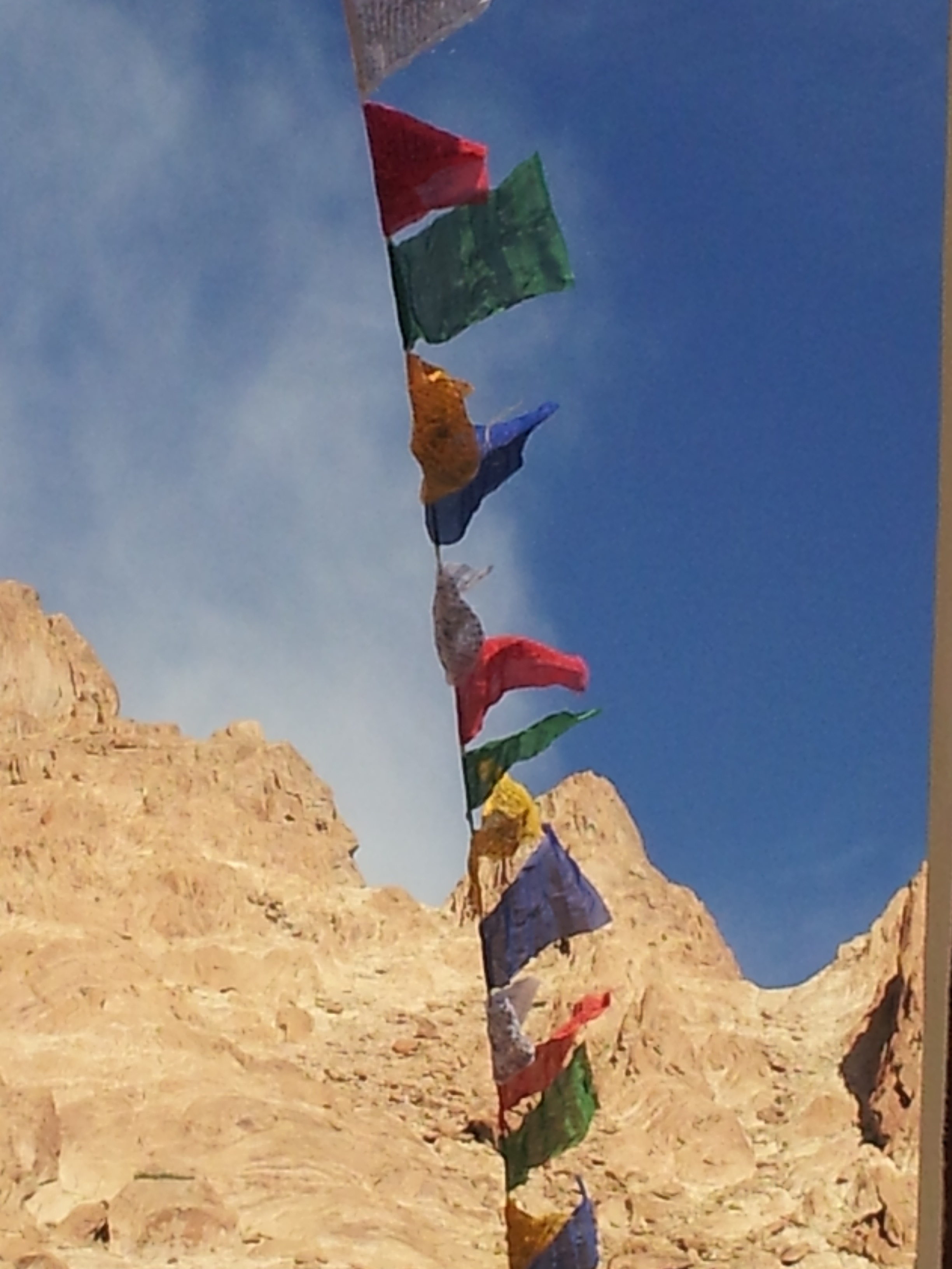 Ladakh prayer flags Oneness of Life